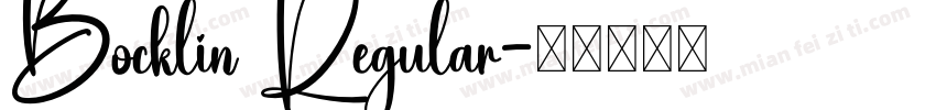 Bocklin Regular字体转换